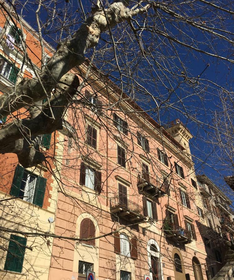 塞德拉住宿加早餐旅馆 弗拉斯卡蒂 外观 照片